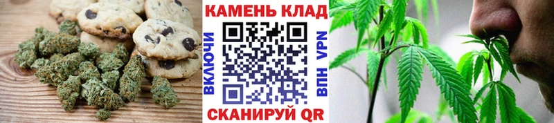 наркотики  Энем  Cannafood конопля 