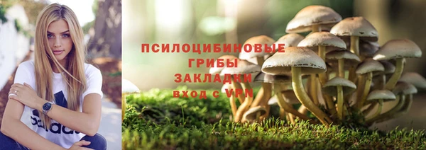 тгк Аркадак