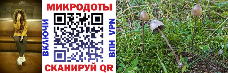 Галлюциногенные грибы Magic Shrooms  Энем 